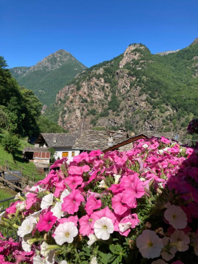 B&B Maison Vallomy Lillianes Экстерьер фото