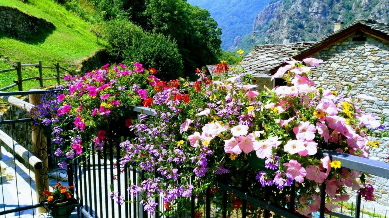 B&B Maison Vallomy Lillianes Экстерьер фото